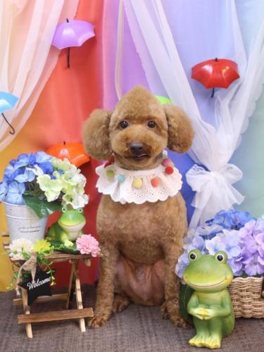 20230627ジョニーくん